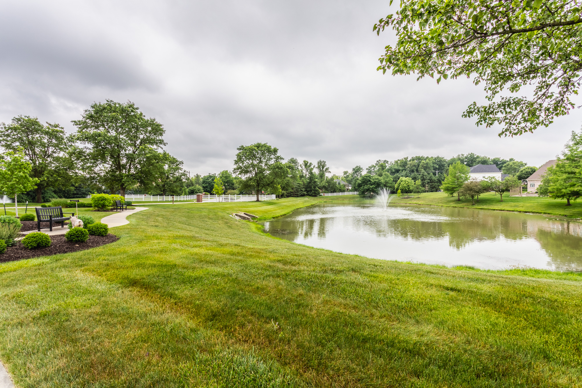 Neighborhood pond and walking path